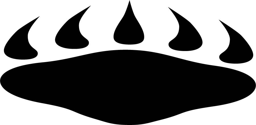 Memphis Grizzlies 2001-2004 Alternate Logo v3 DIY iron on transfer (heat transfer)